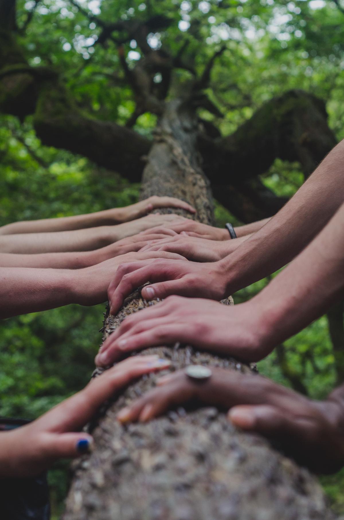 A diverse group of people standing in a circle, symbolizing inclusivity and teamwork.